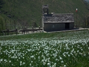 41 dalla chiesetta alla cima del Linzone...